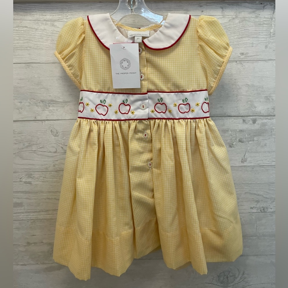 Brand New Children’s Dress! NWT!